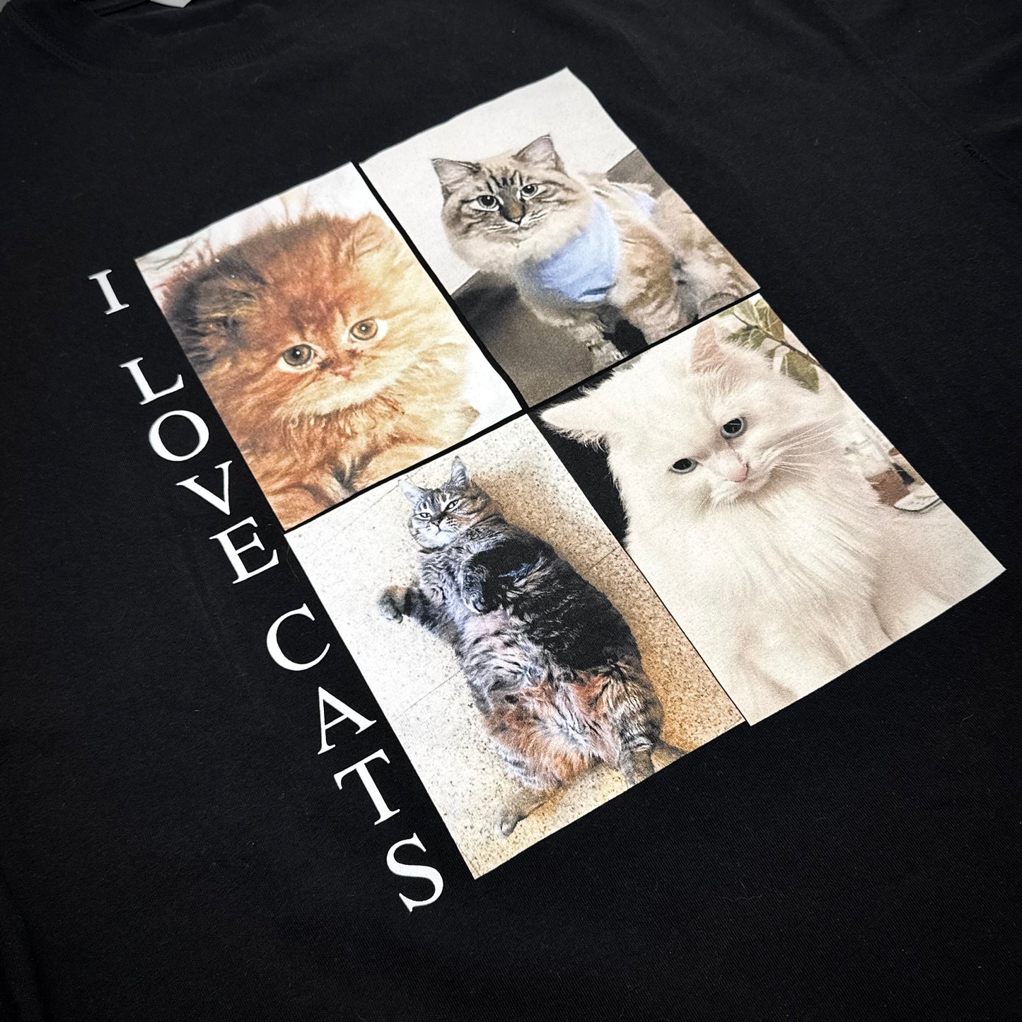 Balenciaga Cat Tshirt