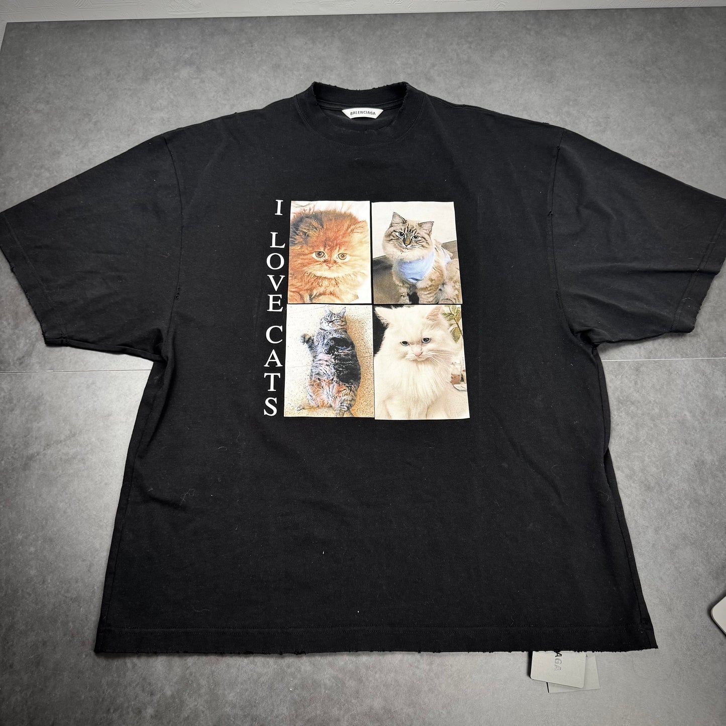 Balenciaga Cat Tshirt