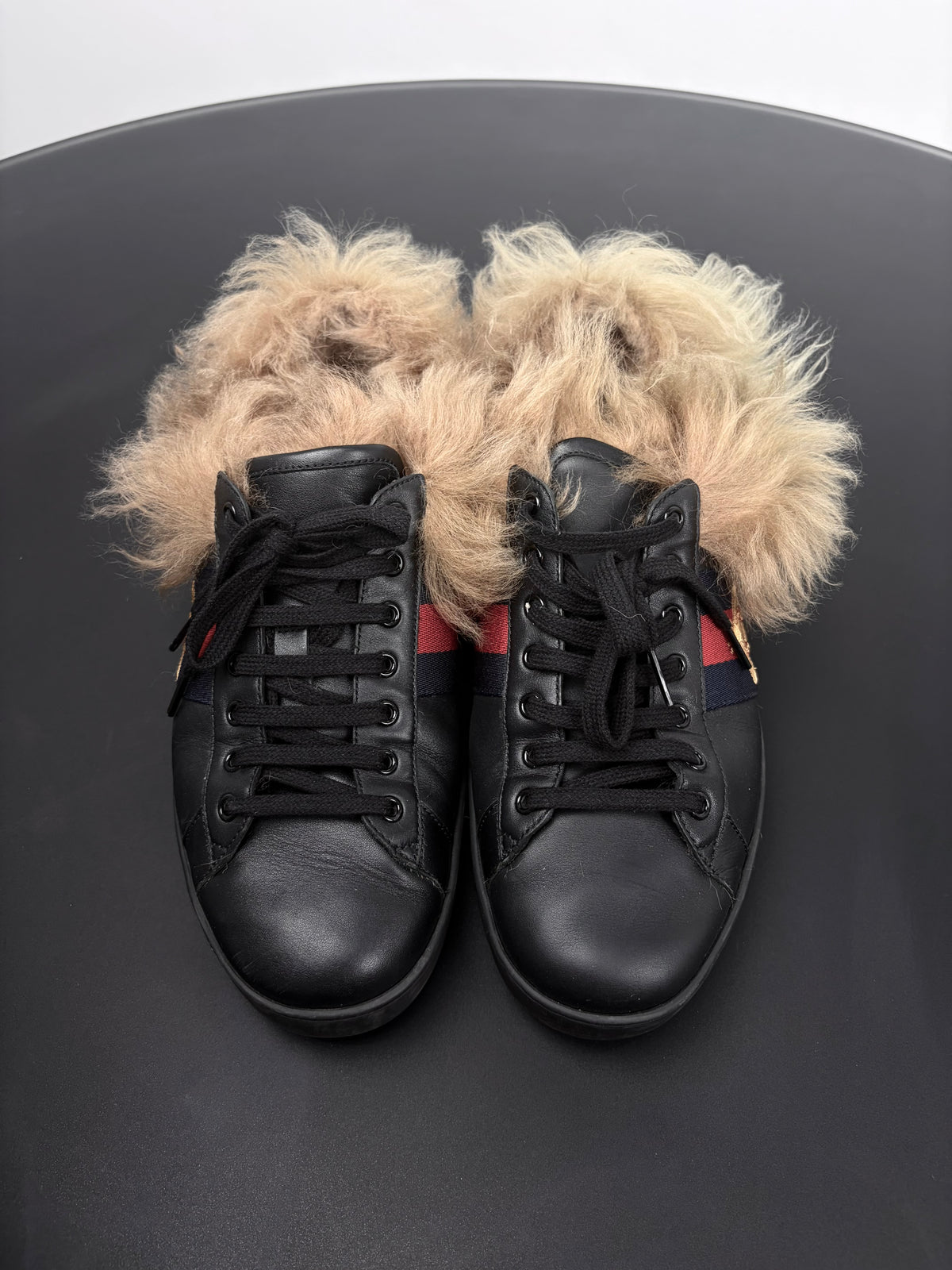 Gucci Fur Ace Sneaker