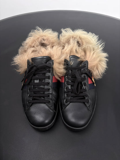 Gucci Fur Ace Sneaker