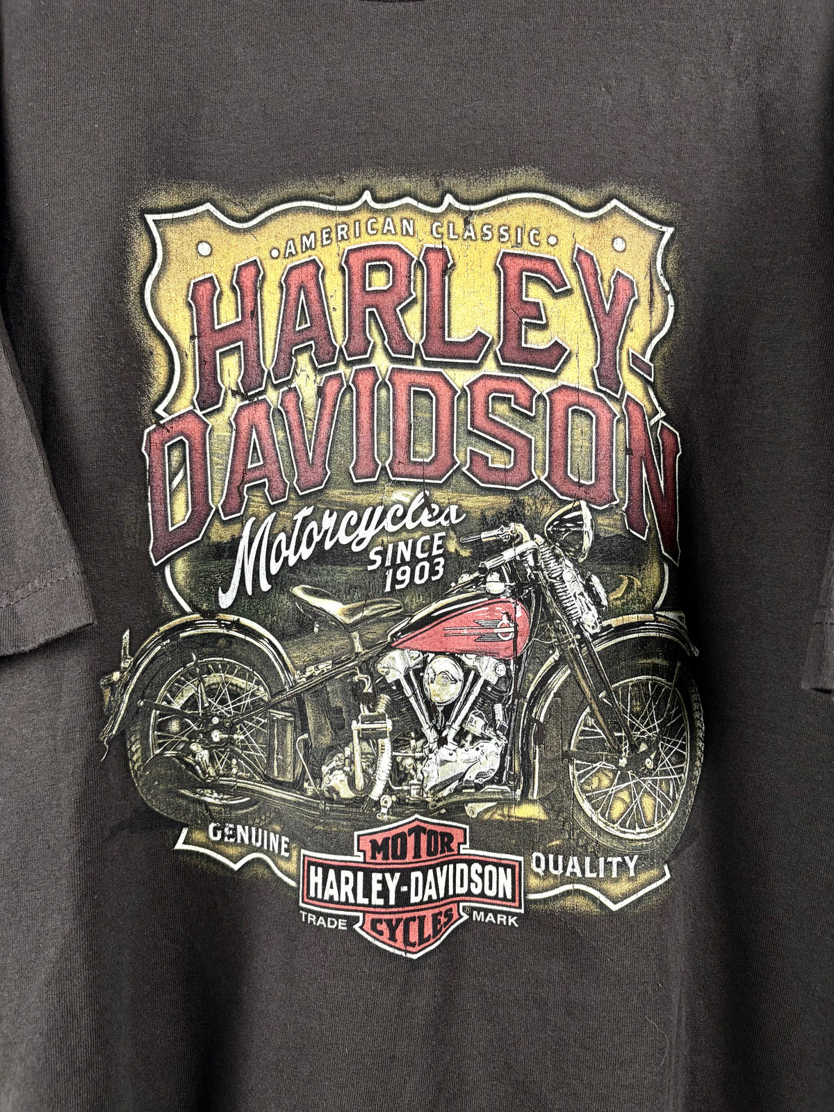 Vintage Harley-Davidson T-Shirt
