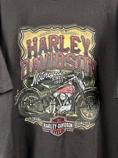 Vintage Harley-Davidson T-Shirt