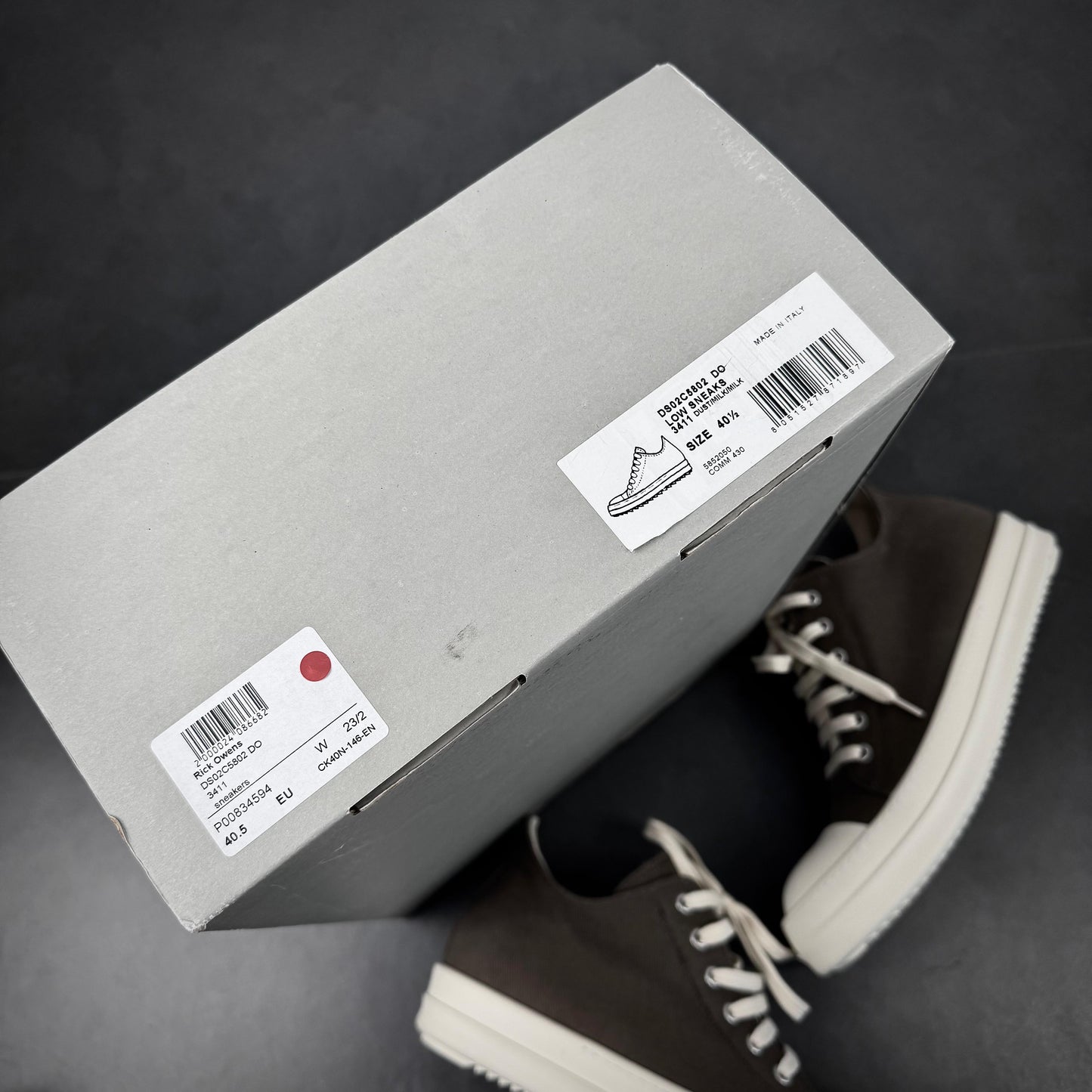 Rick owens ramones