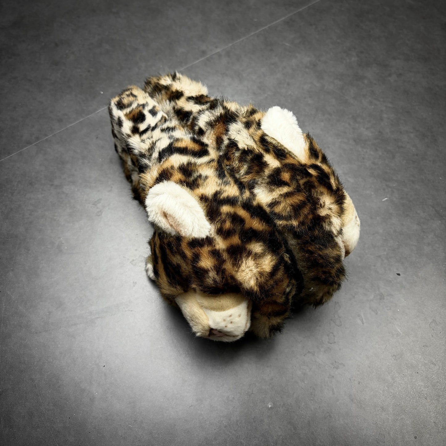 Dolce&Gabbana Leopard Slides