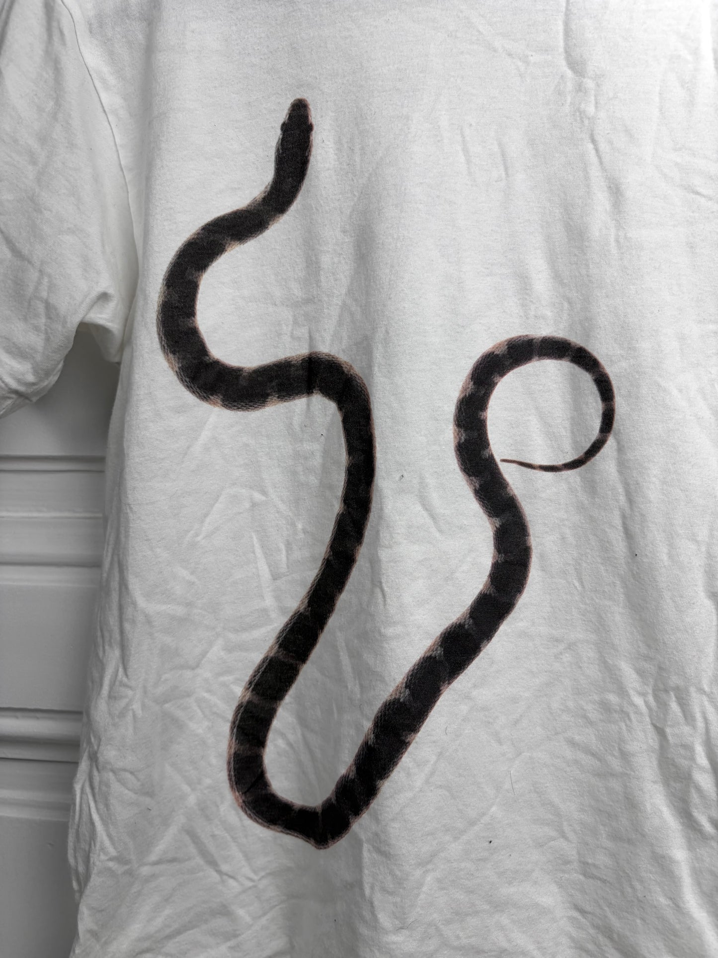 Roar Snake Tshirt